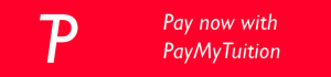 Internation Payment Button - Red